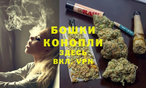 apvp Дмитриев