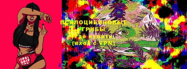 apvp Дмитриев