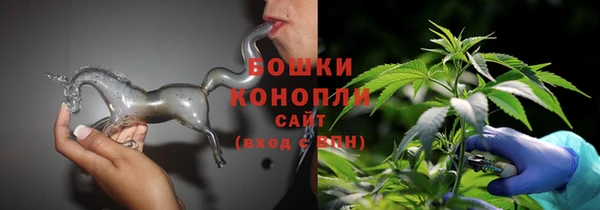 дживик Дмитров
