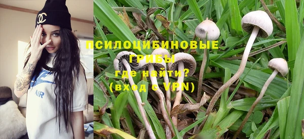 эйфоретик Дмитровск