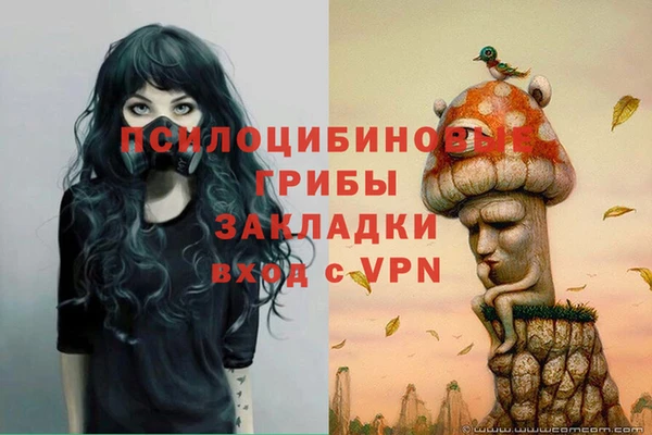 дживик Дмитров