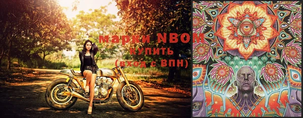 эйфоретик Дмитровск