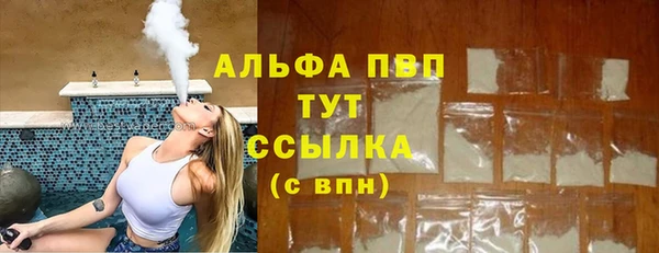 дживик Дмитров